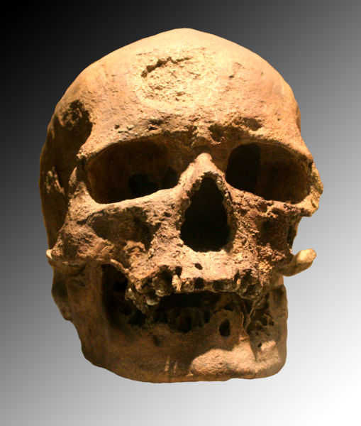 Cro Magnon skull. (Click on image to view larger.)